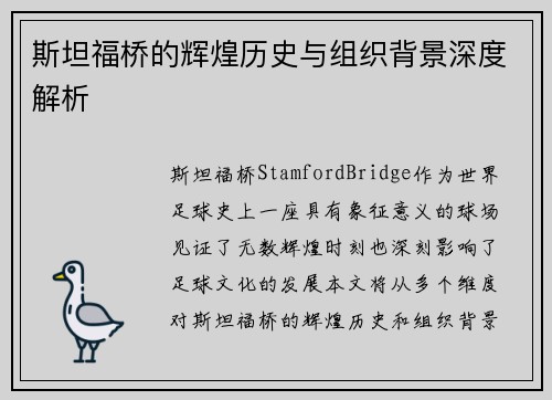 斯坦福桥的辉煌历史与组织背景深度解析 斯坦福桥的辉煌历史与组织背景深度解析